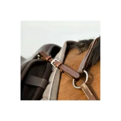 Collier de chasse réglable