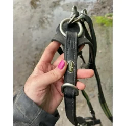Collier de chasse Éric Thomas