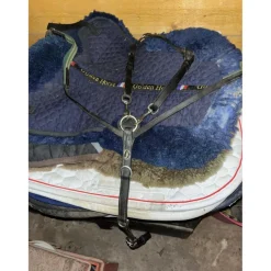 Collier de chasse Éric Thomas