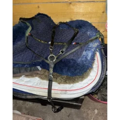 Collier de chasse Éric Thomas