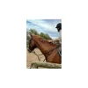 Collier de chasse Riding World
