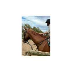 Collier de chasse Riding World