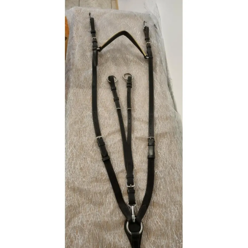 Collier de chasse Riding World