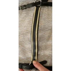 Collier de chasse Riding World