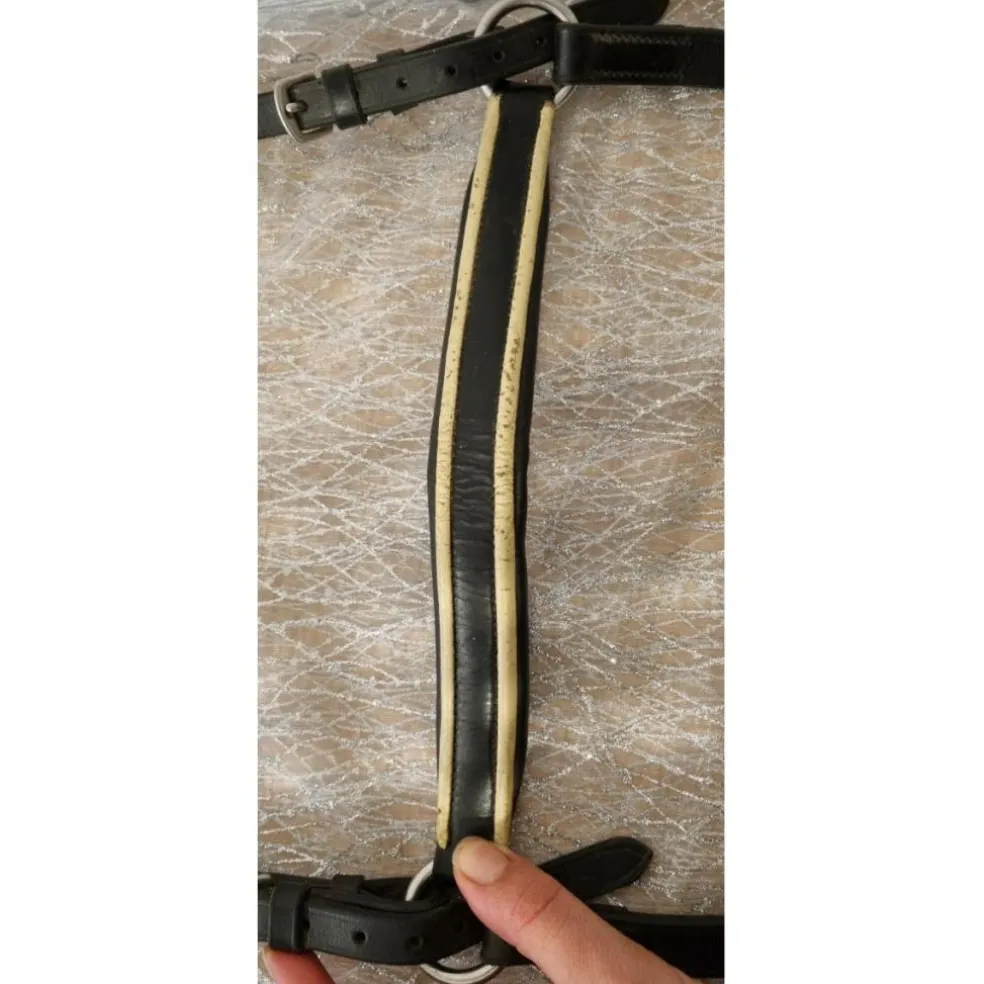 Collier de chasse Riding World