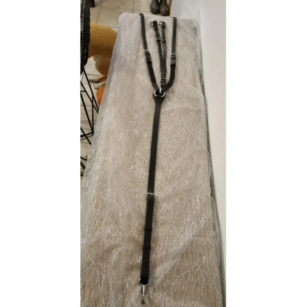 Collier de chasse Riding World