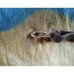 Collier de Chasse Roméo