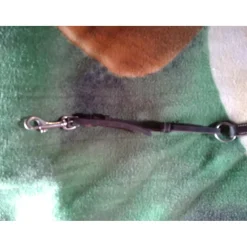 Collier de Chasse Roméo