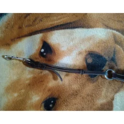 Collier de Chasse Roméo