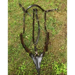 Collier de chasse SCHOCKEMÖHLE