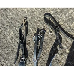 Collier de chasse T cob cuir noir gros élastiques larges bleu