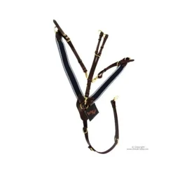 Collier de chasse time rider