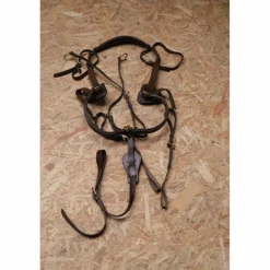 Collier de chasse Time Rider marron taille cheval