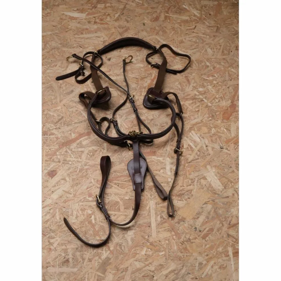 Collier de chasse Time Rider marron taille cheval