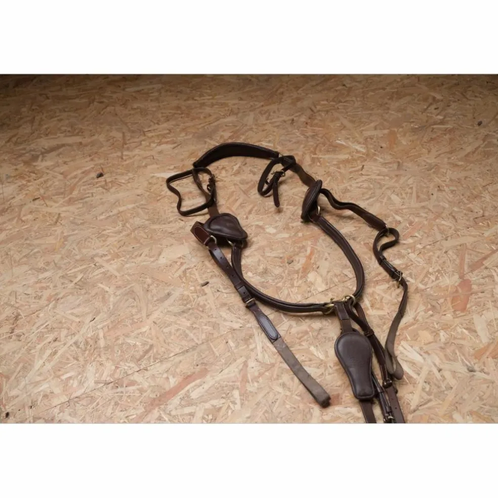 Collier de chasse Time Rider marron taille cheval