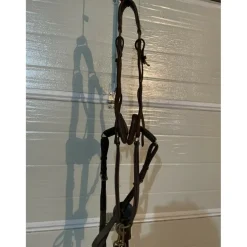 Collier de chasse Time rider