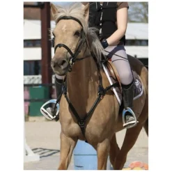collier de chasse time rider taille poneyD