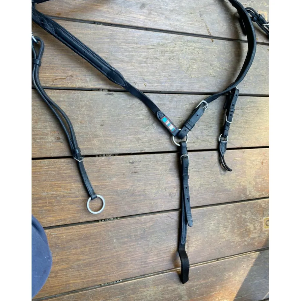 COLLIER DE CHASSE VOLTAIRE
