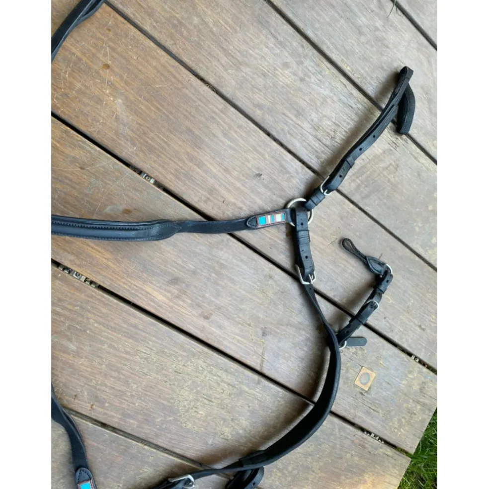 COLLIER DE CHASSE VOLTAIRE