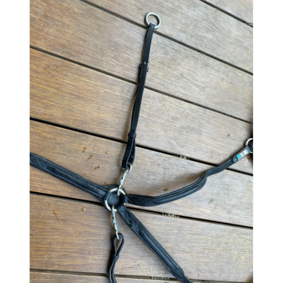 COLLIER DE CHASSE VOLTAIRE