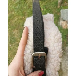 Collier de chasse weaver leather