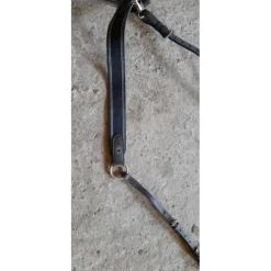Collier de chasse/martingale