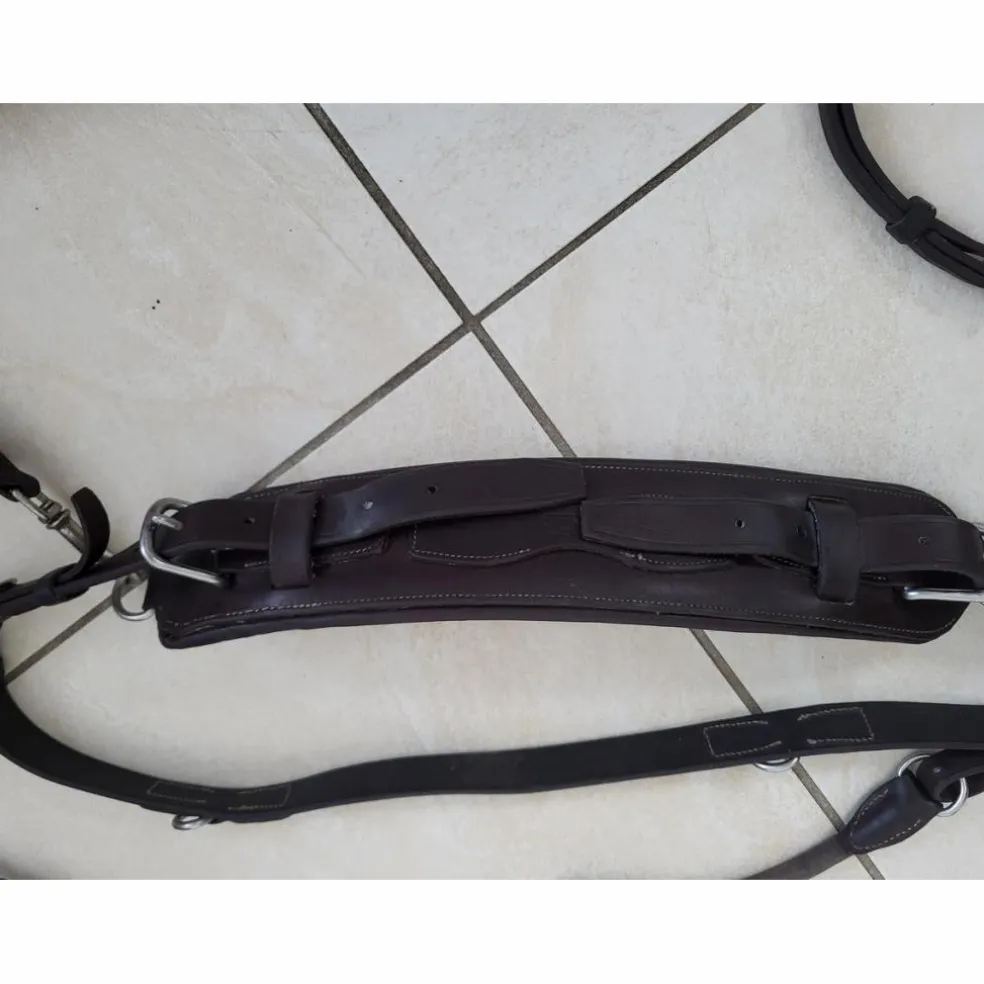 Collier freejump cwd