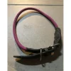 Collier pour chien