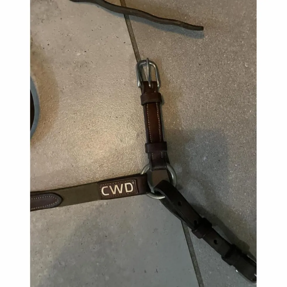colliers de chasse