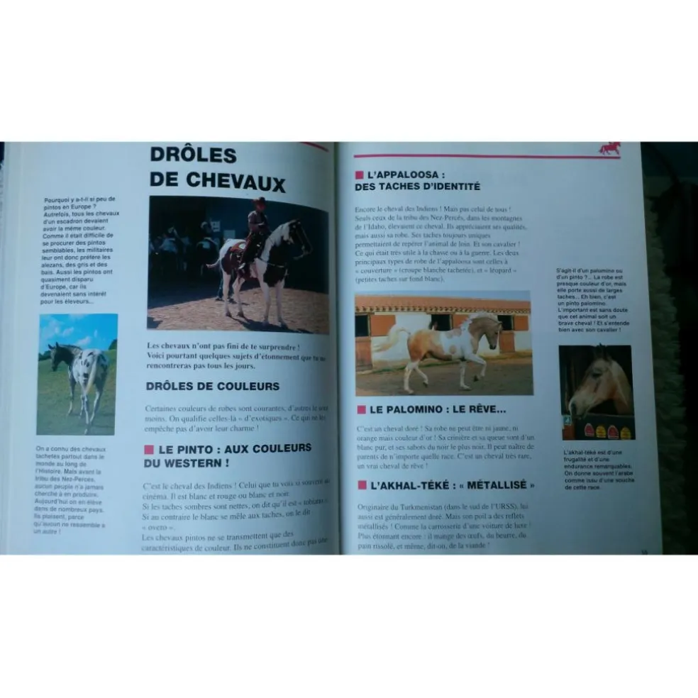 Copain des Chevaux / Ballereau et Delaborde