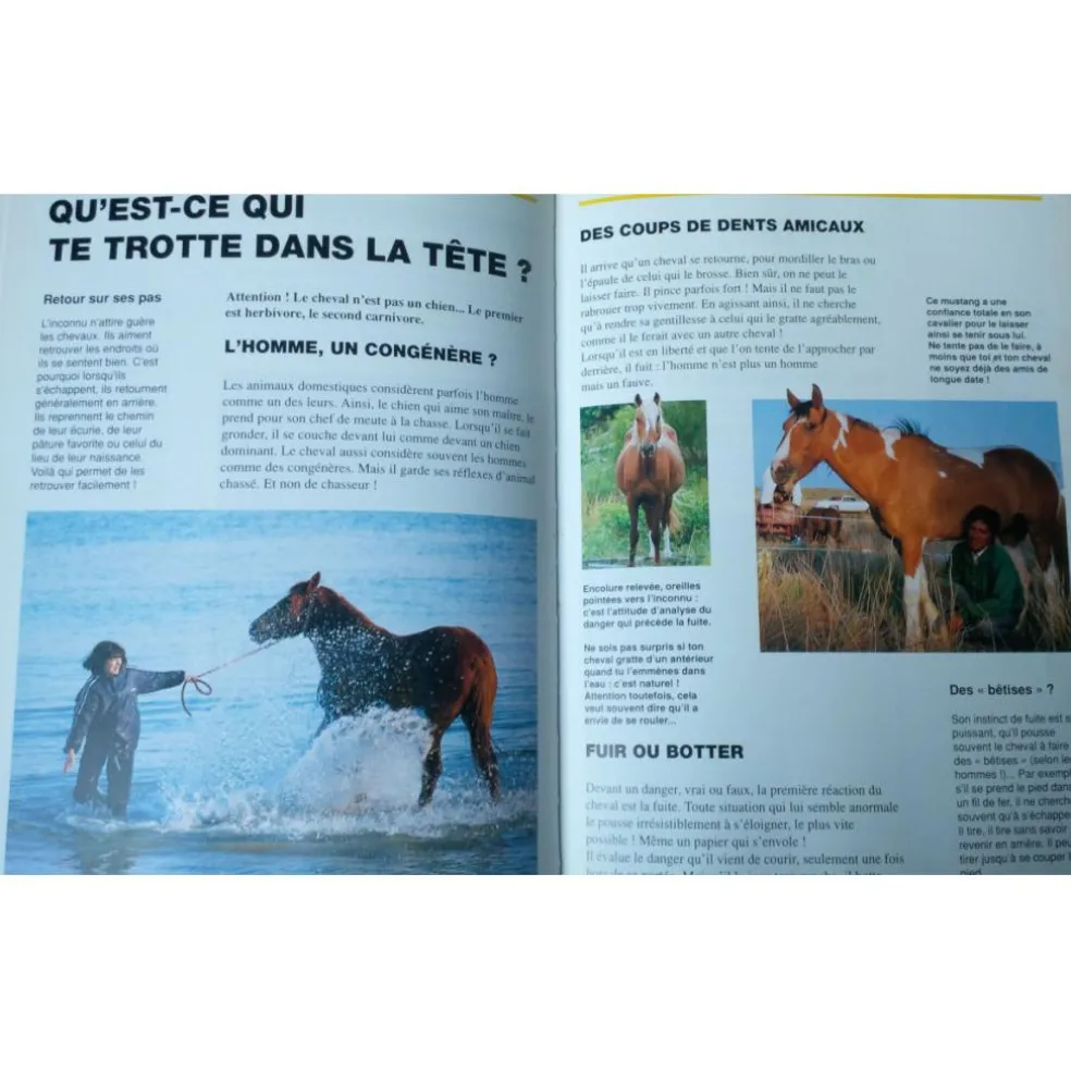 Copain des Chevaux / Ballereau et Delaborde