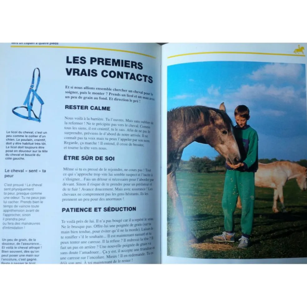 Copain des Chevaux / Ballereau et Delaborde