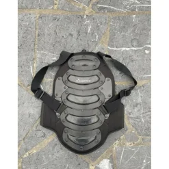 Coque dorsale