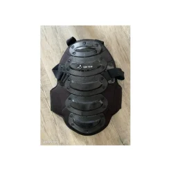 coque dorsale
