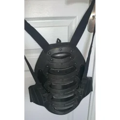 Coque dorsale