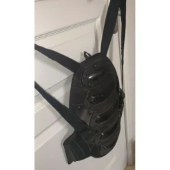Coque dorsale
