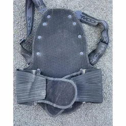 coques dorsales Zadona