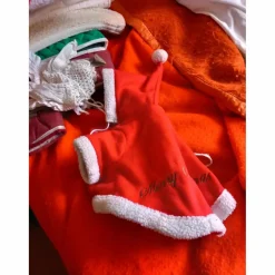 costume de Noël pour un petit chien