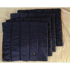 Coton américain Paddock Sport