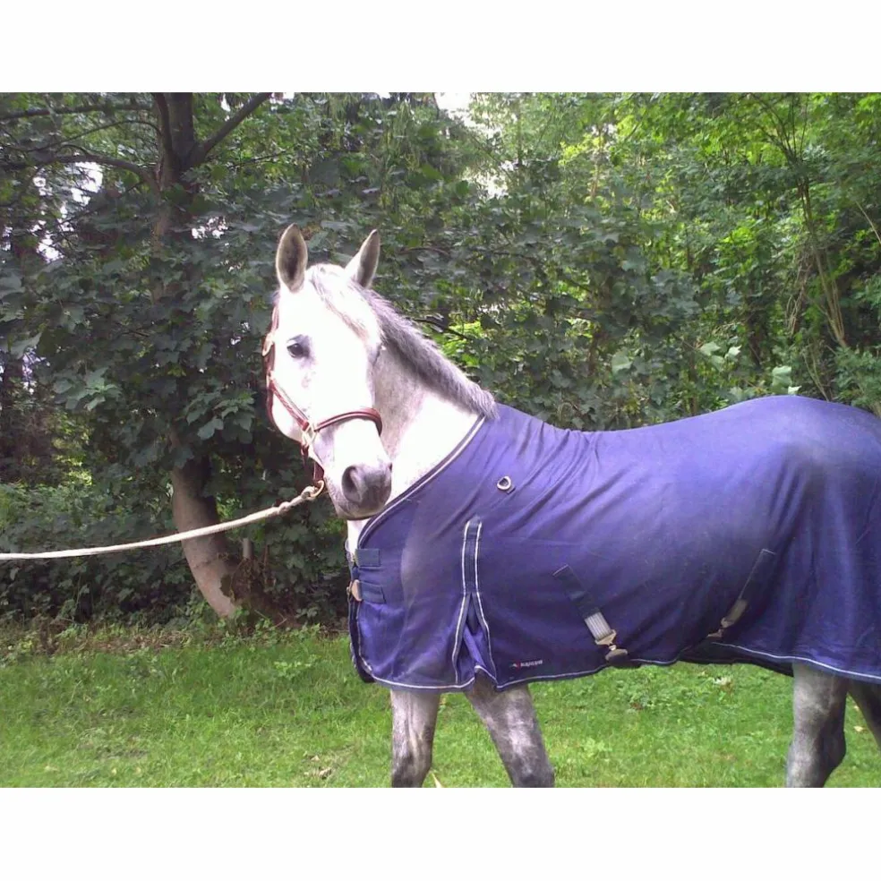 Couverture cheval anti-mouches Equiline – Taille L (6'6)