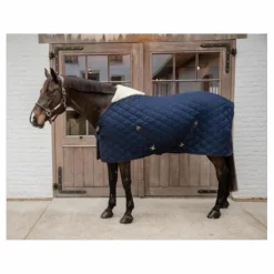 Couverture comfort 300g