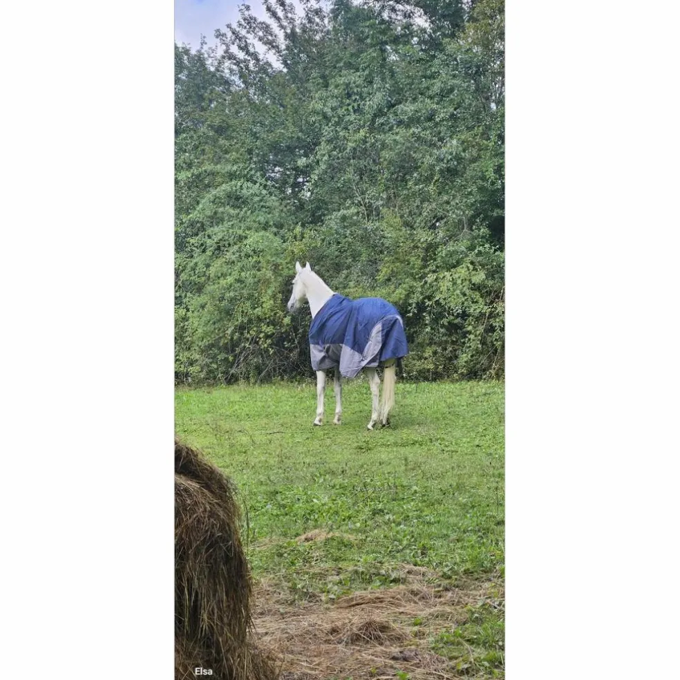Couverture d'extérieur equiteme
