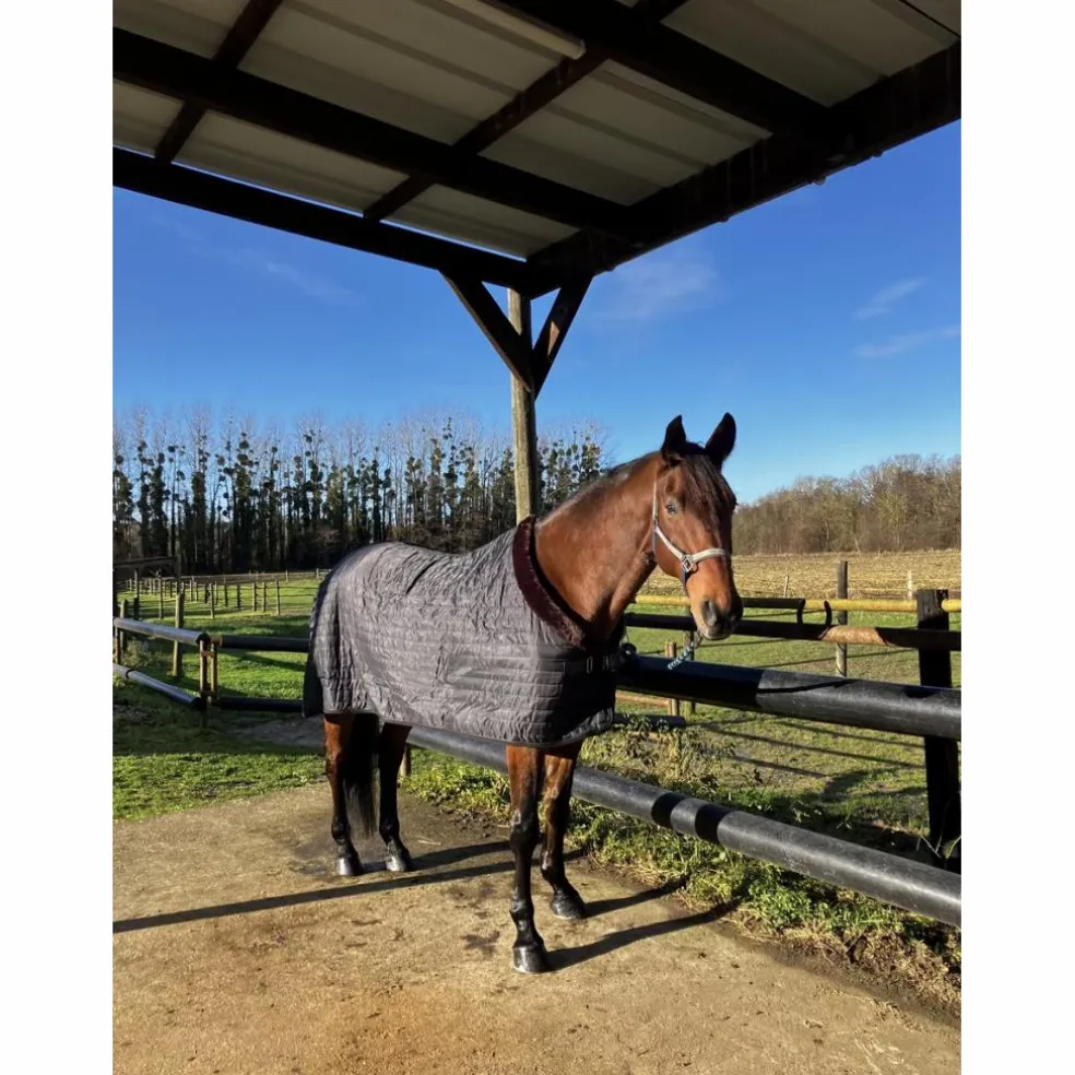 Couverture EQUITHÈME Teddy doublée mouton