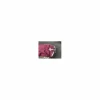 Couvre rein Alexandra Sportwear