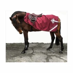 Couvre rein Alexandra Sportwear