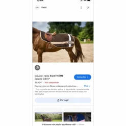 couvre rein Equi thème csi5*