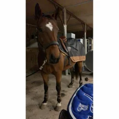 couvre rein equitheme