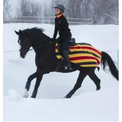 Couvre rein horseware