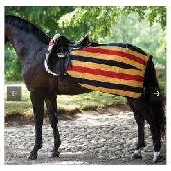 Couvre rein horseware