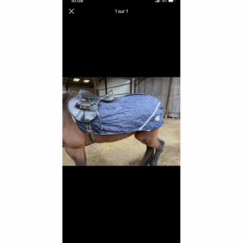 Couvre reins cheval